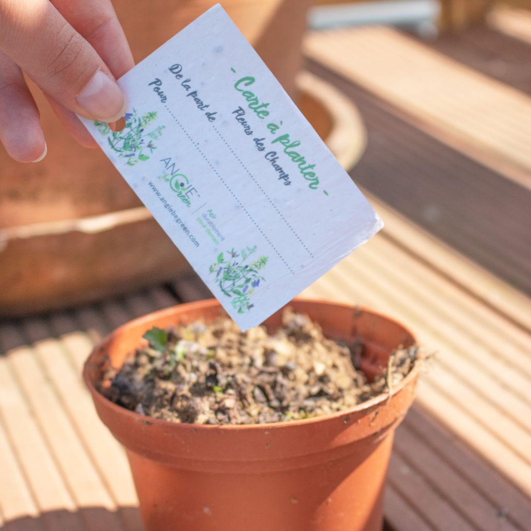 Carte à planter – De la part de…